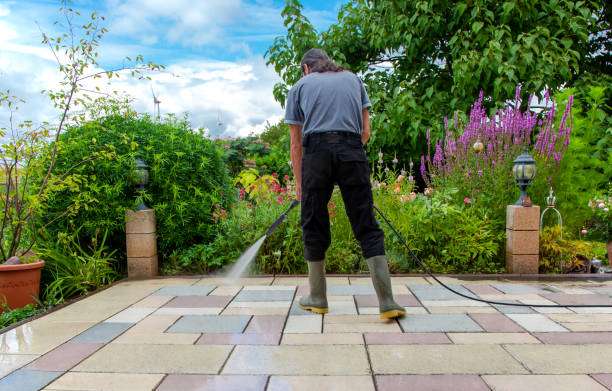 Animal Enclosure Cleaning in Southport, NC